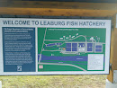 Leaburg Fish Hatchery Information