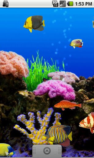 Fish-O-Meter PRO - Live WP