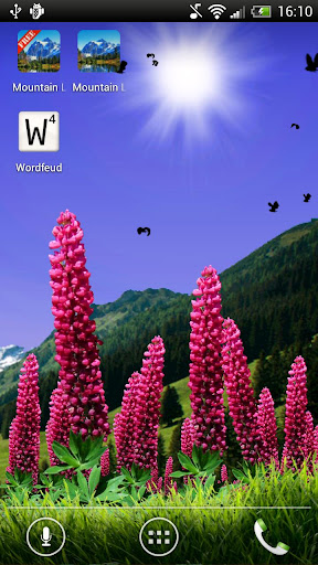 Wild Lupins Live Wallpaper