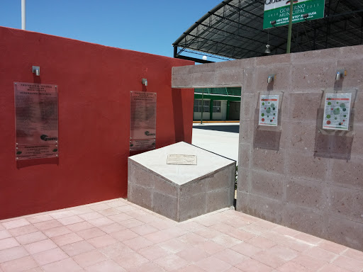 Conalep Juárez 323