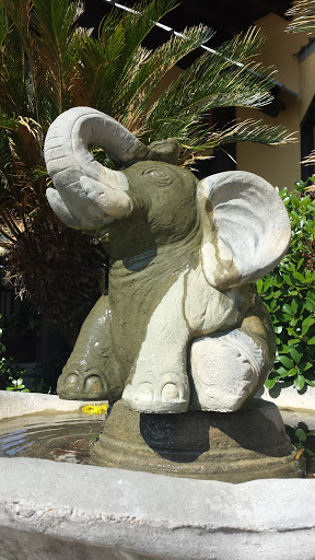 Elephant Fountain