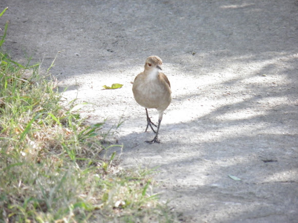 Spotting Image 1
