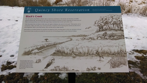Black's Creek Placard at Quincy Shore Reservation