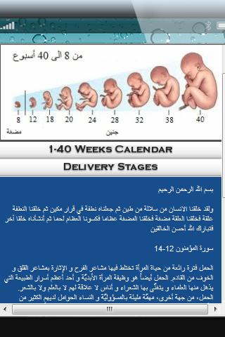 Arab Pregnant