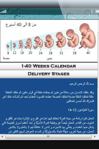 【免費健康App】Arab Pregnant-APP點子