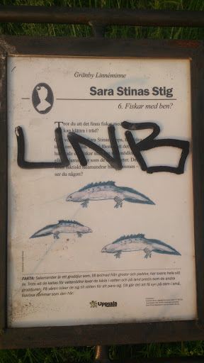 Sara Stinas Stig 6