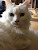 User profile picture thumbnail