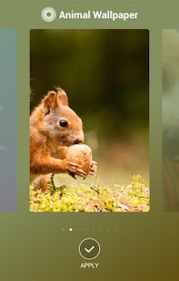 How to get AnimalWallpaper 1.2.0 mod apk for bluestacks