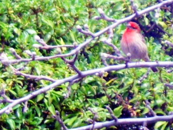 Spotting Image 1