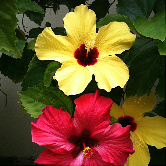Spotting Image 1