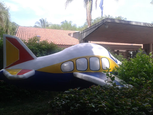 Avión Piscilago