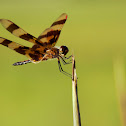 Halloween Pennant