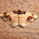 Scorched Carpet