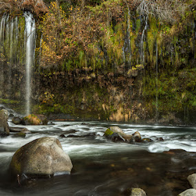 Mossbrae Falls by Walter Hsiao - Landscapes Waterscapes ( stream, mossbrae falls, california, waterfall, moss, rapids, rock, dunsmuir )