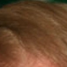 Trumpafella Skank (The Donald on the half shell)