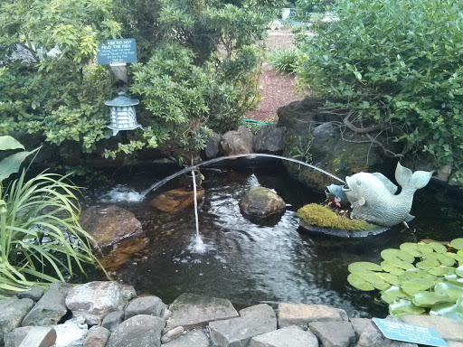 The Pond at Rex Hospital 