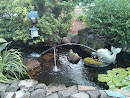 The Pond at Rex Hospital 