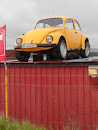 Beetle on the Roof