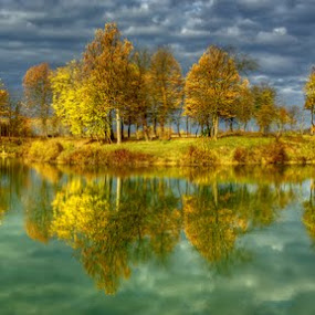 Grove by Boris Frković - Landscapes Waterscapes ( clouds, reflection, tree, color, autumn, ivanic, lake, pond, grove )