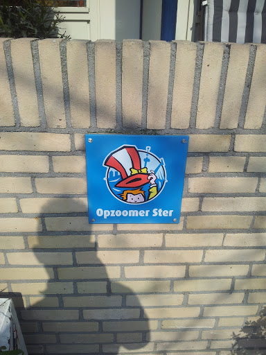 Opzomer Ster
