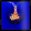 Sea nettle