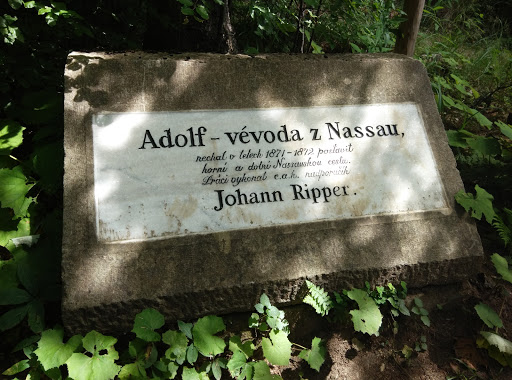 Pametni kamen Adolfa z Nassau