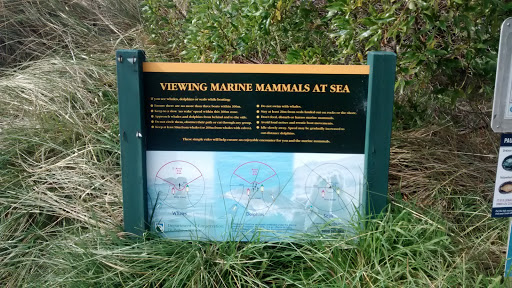 Marine Mammal Viewing Guide