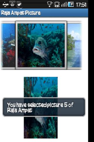 Raja Ampat Picture