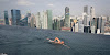 Gambar preview Interesting funny picture....