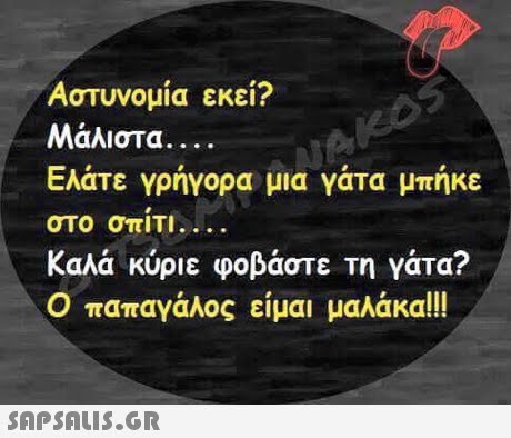Αστυνομία εκει? Μάλιστα . . . . Ελάτε γρήγορα μια γάτα μπήκε στο σπΙΤΙ. . . . Καλά κύριε φοβάστε Τη νάτα? Ο παπαγάλος είμαι μαλάκα!!!