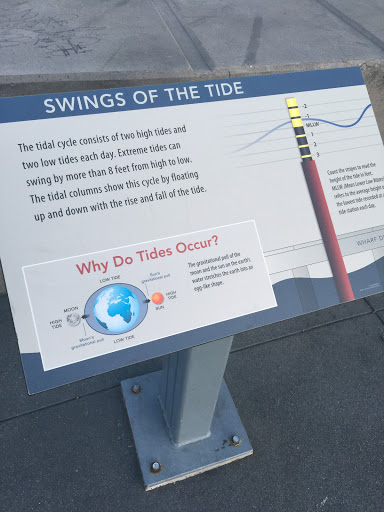 Swings of the Tide