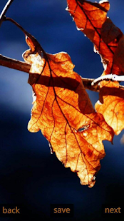 How to mod Inspic Autumn Wallpapers HD 2.0 apk for bluestacks