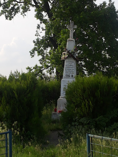 Monument Radu Voda