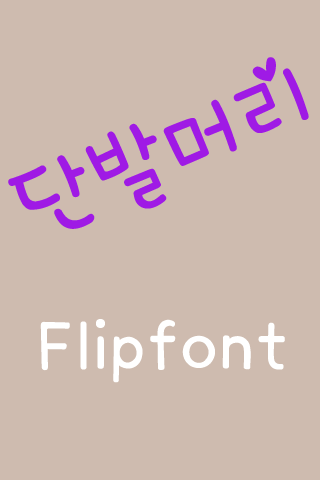 TD단발머리 FlipFont