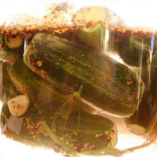 Spicy Refrigerator Dill Pickles