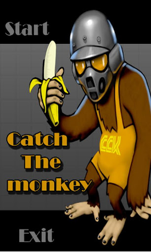 Catch The Monkey