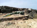 Iguana At Shete Boka