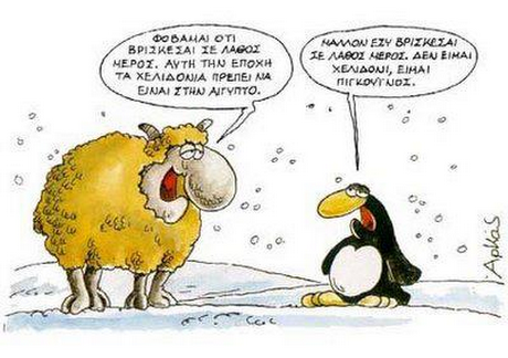 ΑΥΤΗ ΤΗΝ ΕΠΟΧΗ ΤΑ ΧΕΛΙΔΟΝΙΑ ΕΙΝΑΙ ΣΤΗΝ ΑΙΓΥΠΤΟ. ΜΑΛΛΟΝ ΕΣΥ ΒΡΙΣΚΕΣΑΙ ΣΕ ΛΑΘΟΣ ΜΕΡΟΣ, ΔΕΝ ΕΙΜΑΙ ΧΕΛΙΔΟΝΙ, ΕΙΜΑΙ ΠΙΝΓΚΟΥΙΝΟΣ.