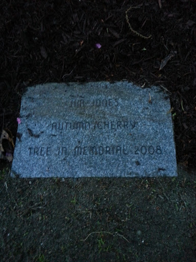 Jim Jones Memorial Tree