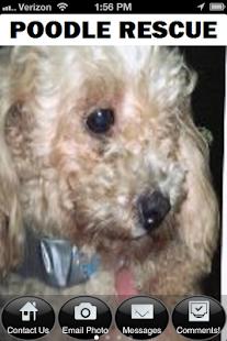 How to mod Poodle Rescue 1.399 unlimited apk for android