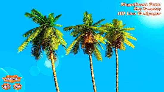 How to install Magnificent Palm Sky Scenery lastet apk for laptop