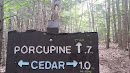 Porcupine Trail