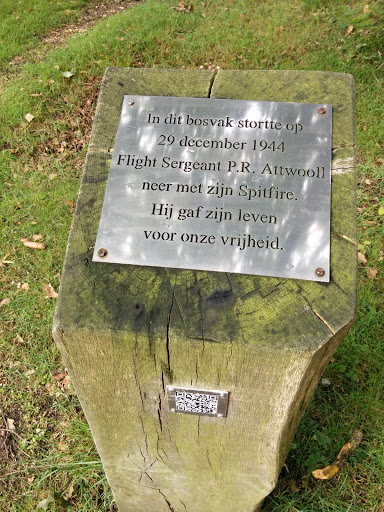 Memorial for Shot Spitfire