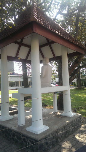 Buddha Statue at Sri Lanka Foundation Headquarters
