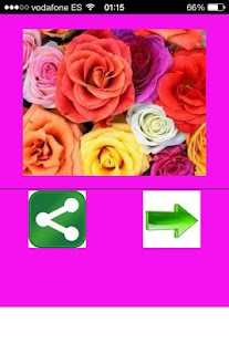 How to get Flores lastet apk for pc
