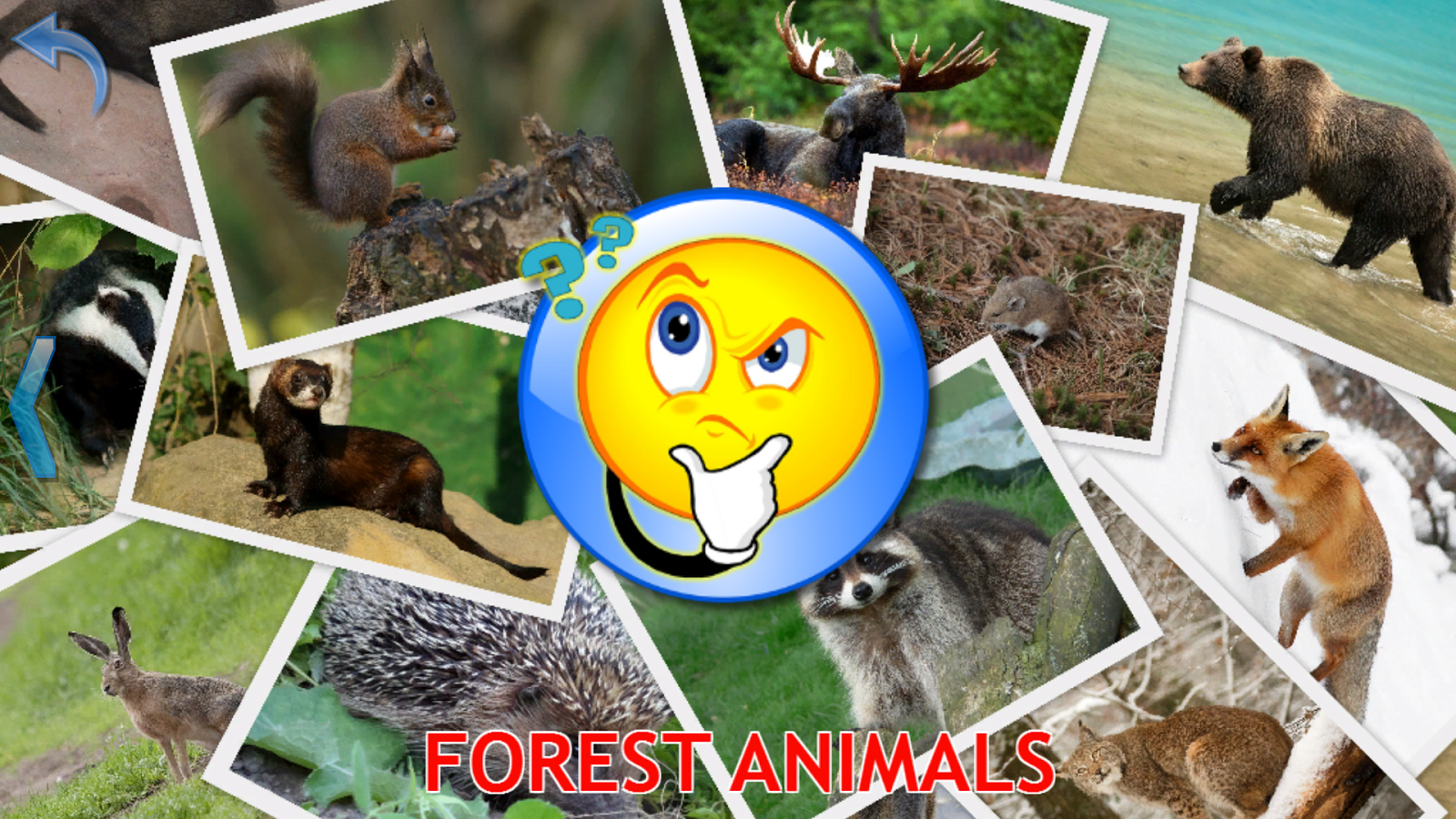    Kids Learn About Animals- screenshot  