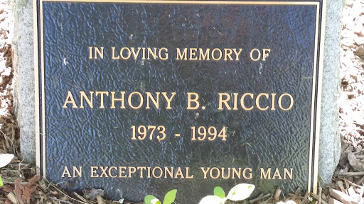 Anthony B Ricco Memorial