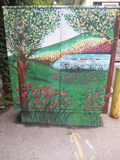 Meadow Painted Box
