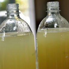 Homebrew Ginger Beer