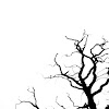 Veins.jpg
